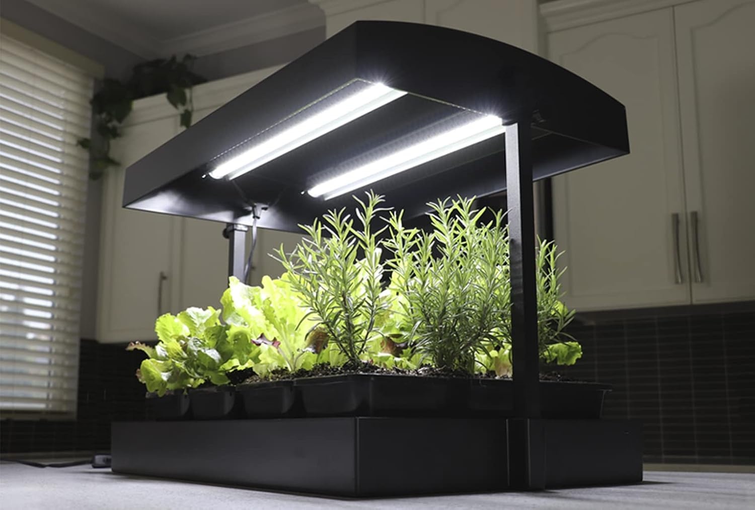 SunBlaster T5HO Indoor Growlight Garden, Home Growing Kit - SunBlaster ...